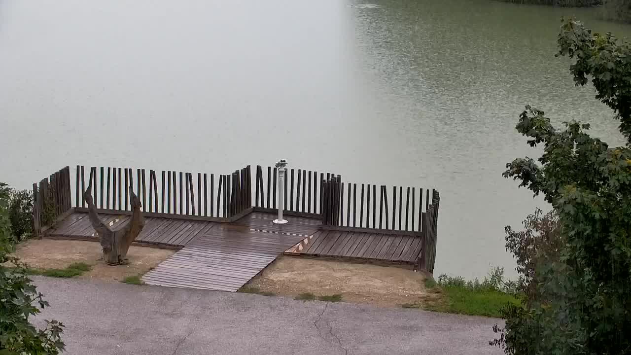 Webcam Ribnik Vrbje – Žalec