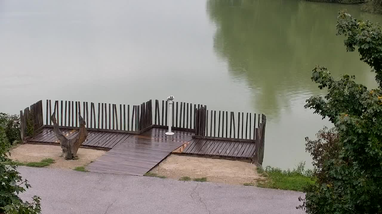 Webcam Ribnik Vrbje – Žalec