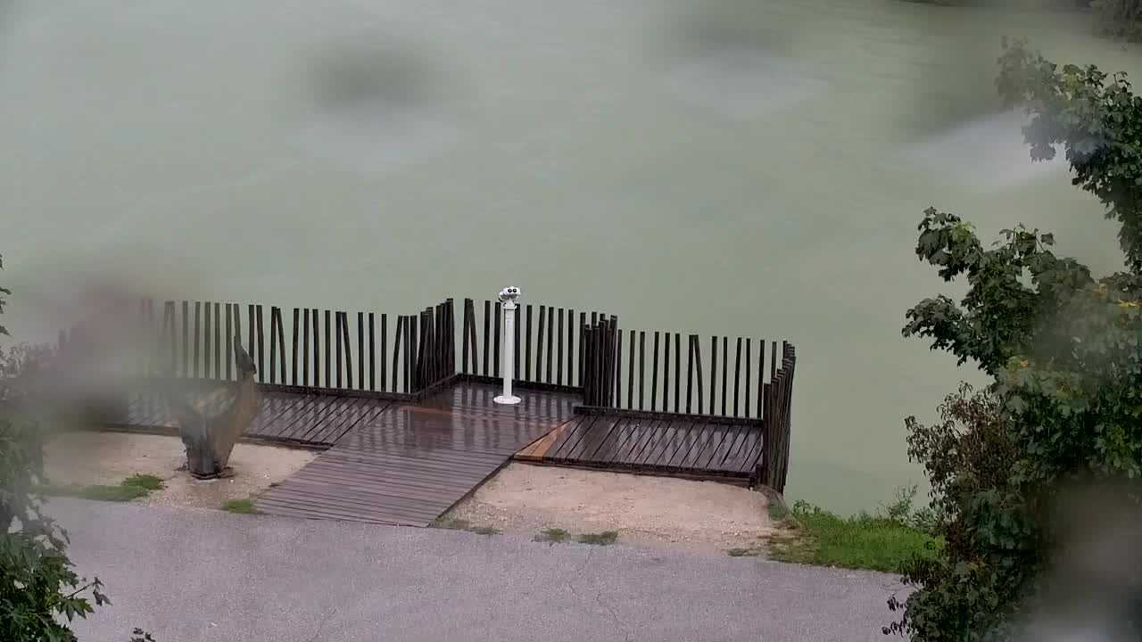 Webcam Ribnik Vrbje – Žalec