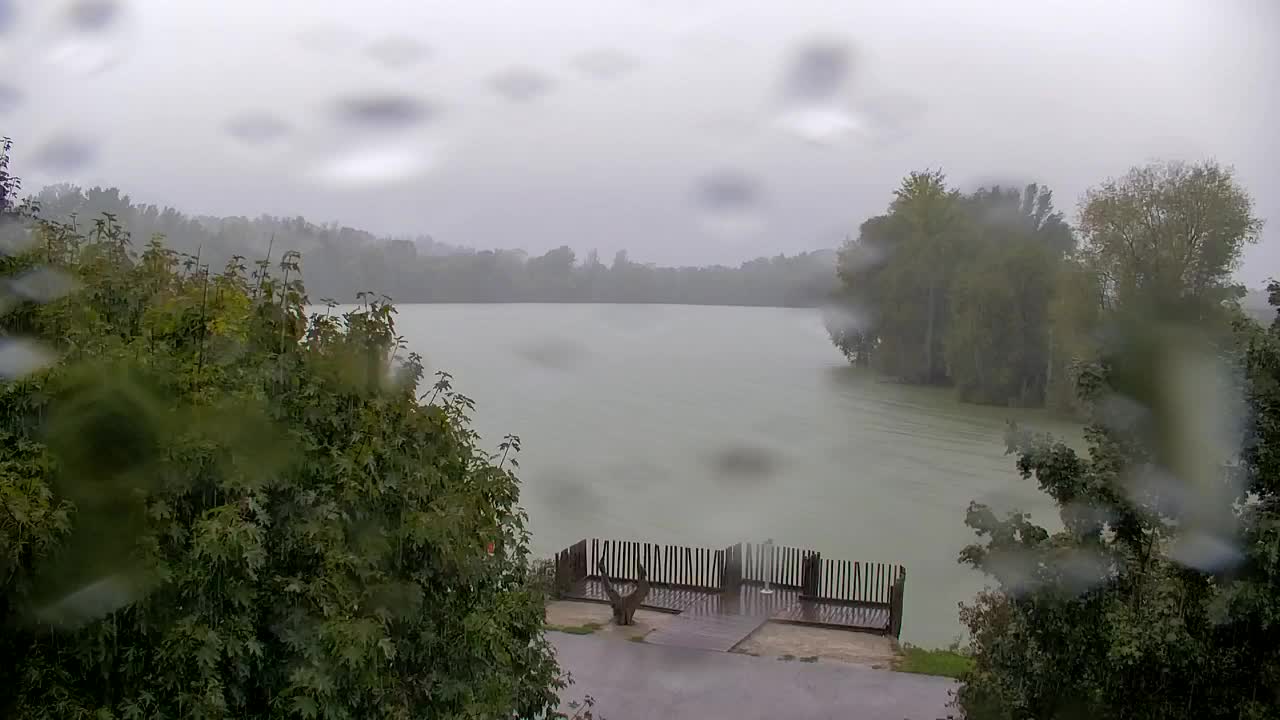 Webcam Ribnik Vrbje – Žalec