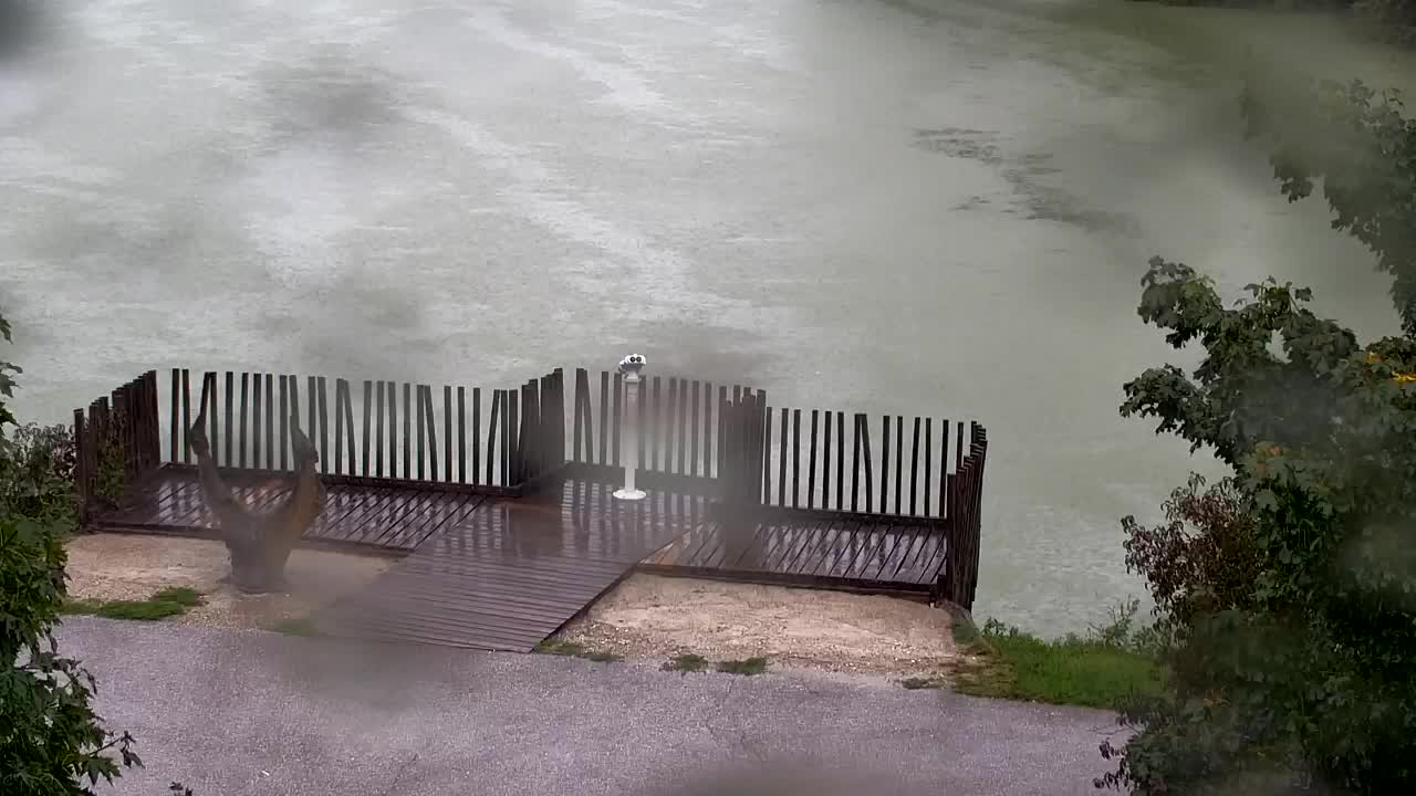 Spletna kamera Ribnik Vrbje – Žalec