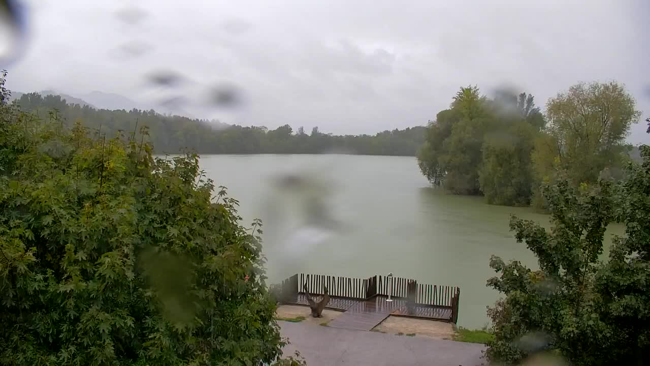 Webcam Ribnik Vrbje – Žalec