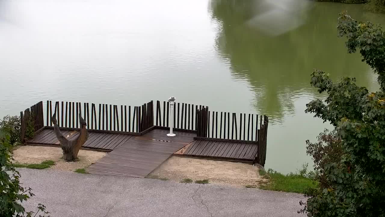 Webcam Ribnik Vrbje – Žalec