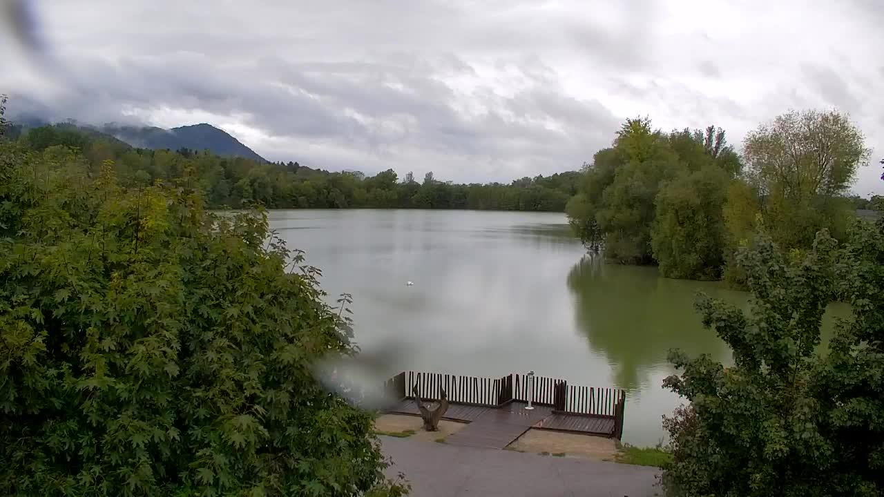 Webcam Ribnik Vrbje – Žalec