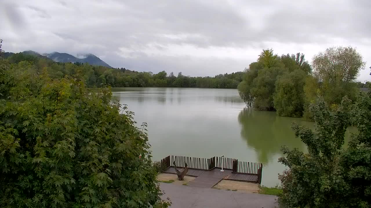 Web kamera Ribnik Vrbje – Žalec