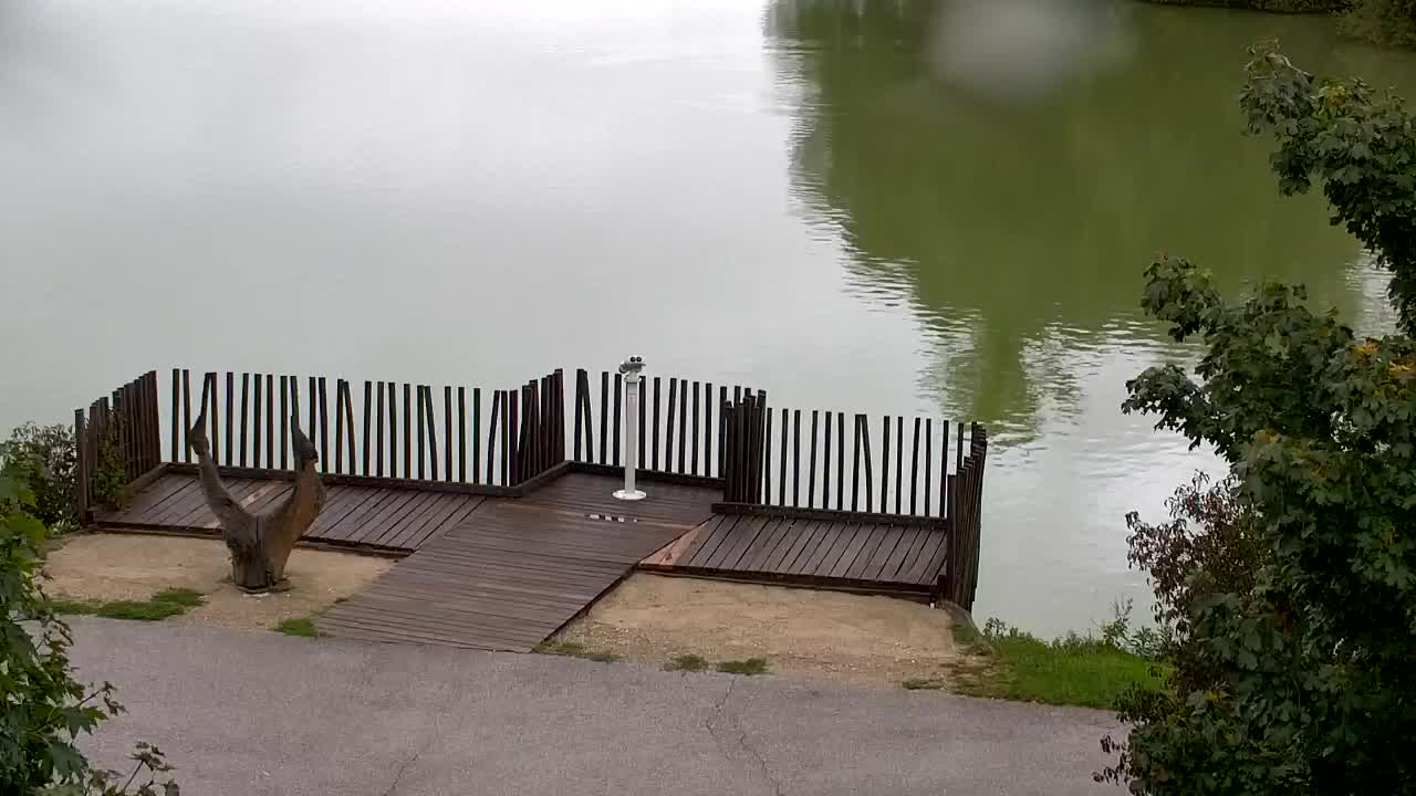 Spletna kamera Ribnik Vrbje – Žalec