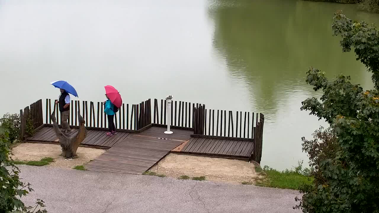 Webcam Ribnik Vrbje – Žalec