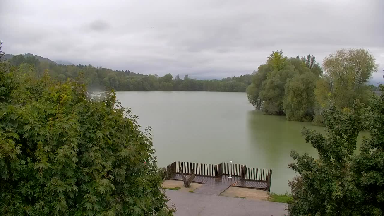 Webcam Ribnik Vrbje – Žalec