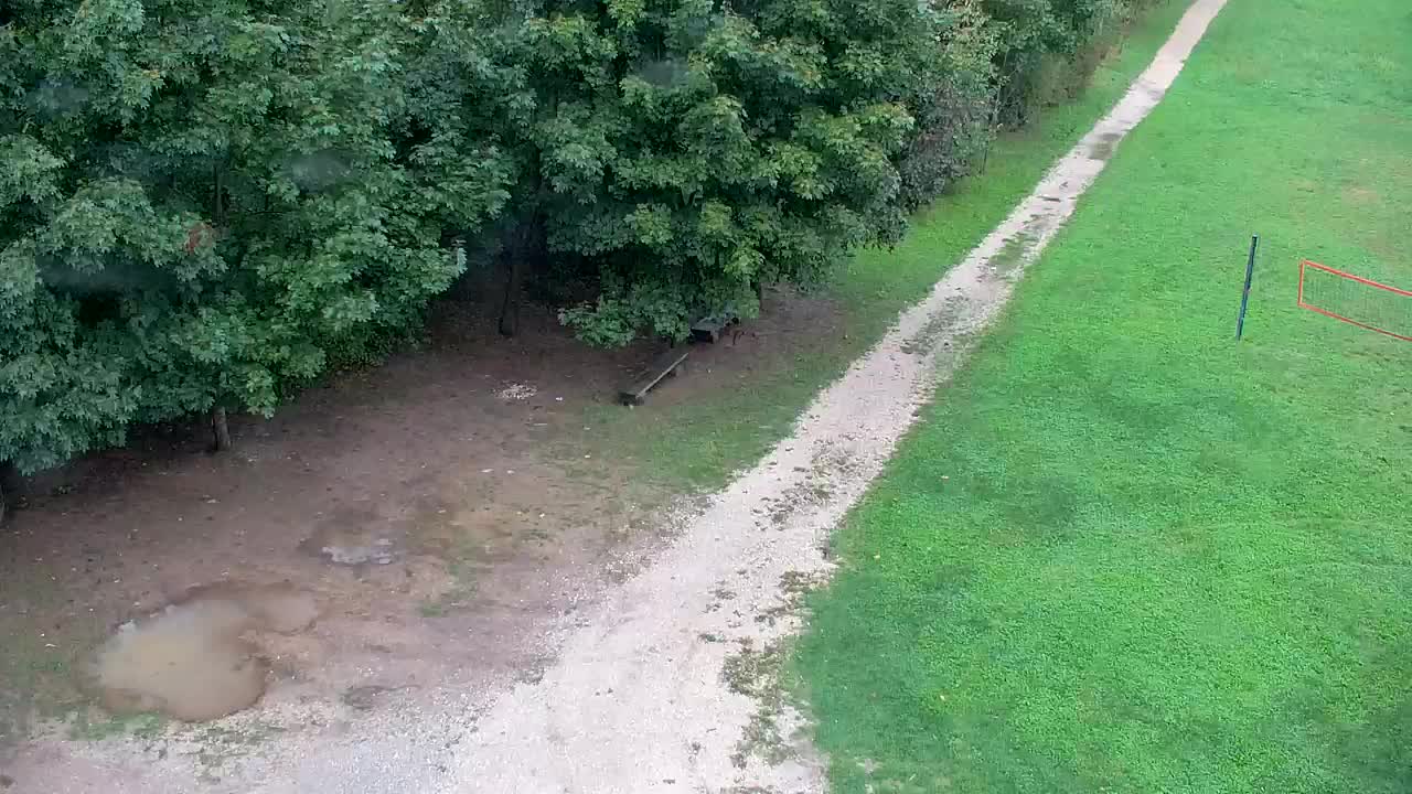 Webcam Ribnik Vrbje – Žalec