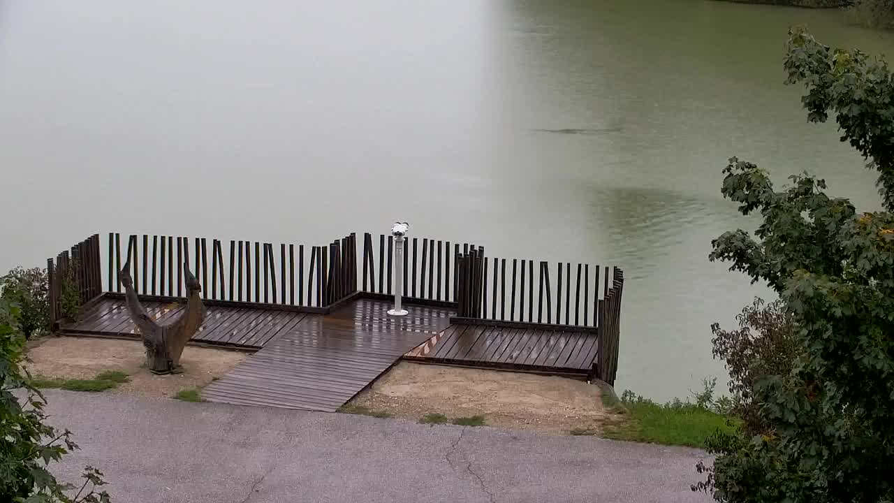 Webcam Ribnik Vrbje – Žalec