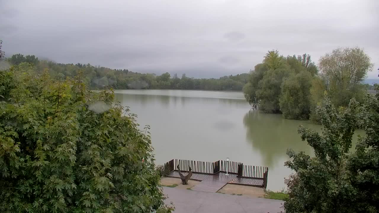Webcam Ribnik Vrbje – Žalec