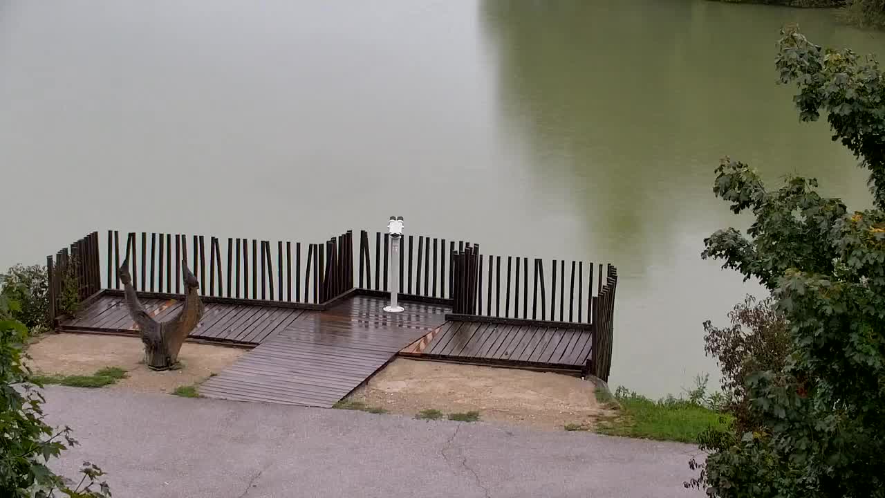 Spletna kamera Ribnik Vrbje – Žalec