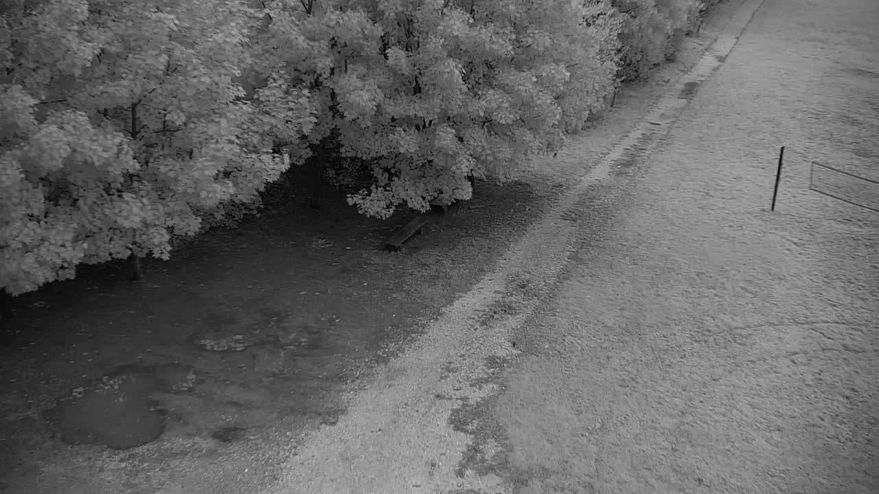 Webcam Ribnik Vrbje – Žalec