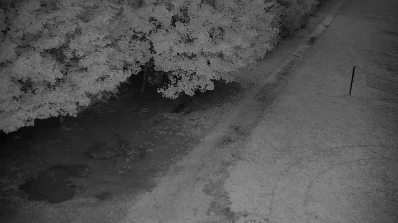 Webcam Ribnik Vrbje – Žalec