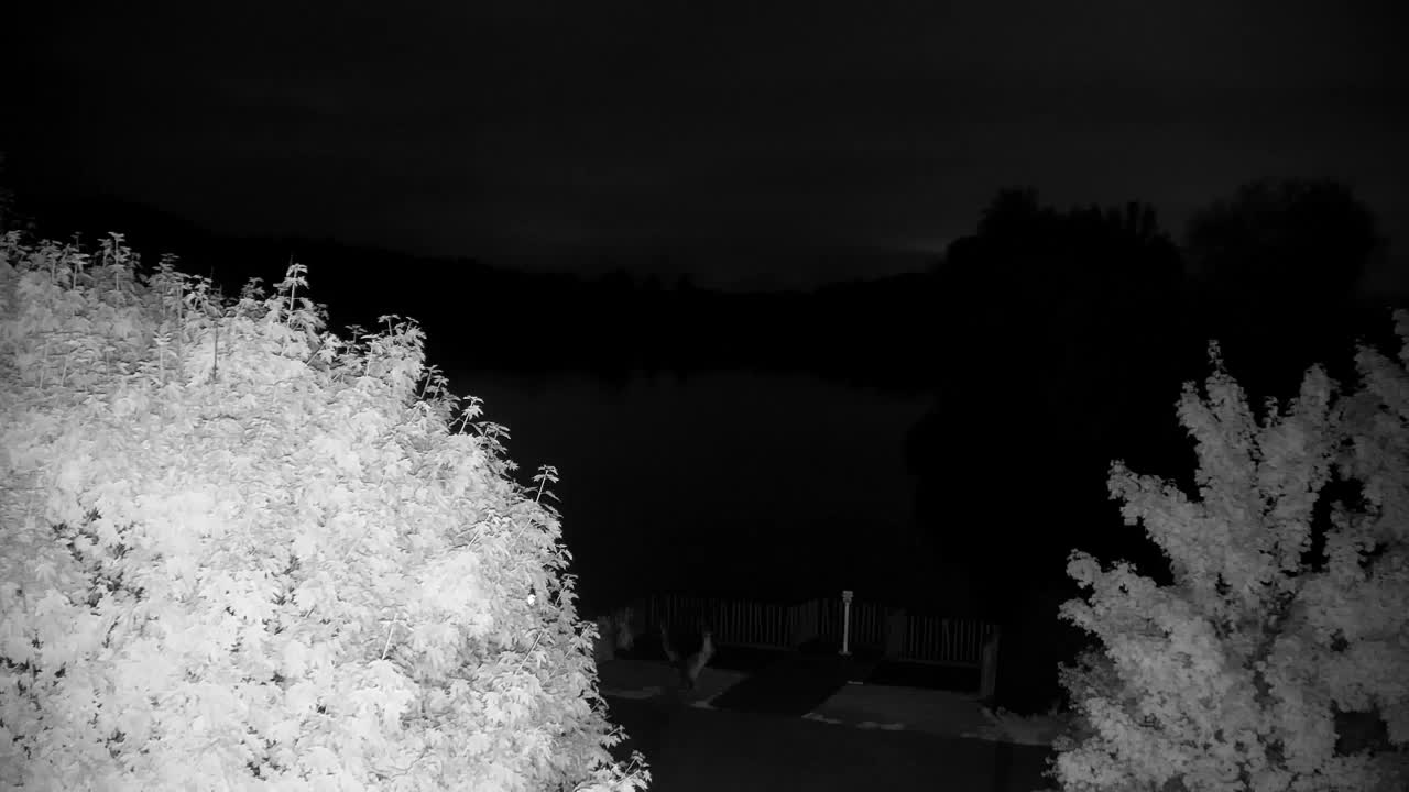 Webcam Ribnik Vrbje – Žalec