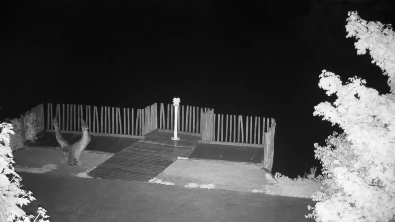 Webcam Ribnik Vrbje – Žalec