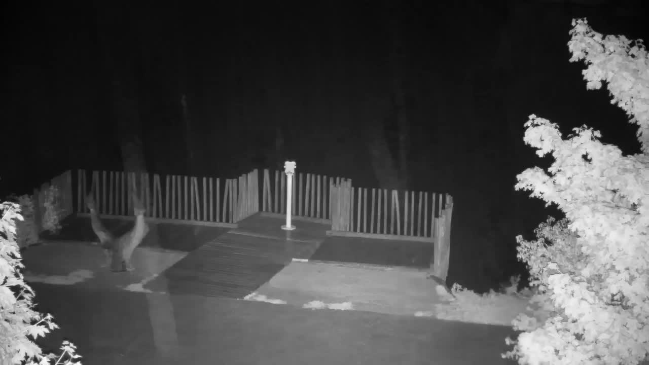 Webcam Ribnik Vrbje – Žalec
