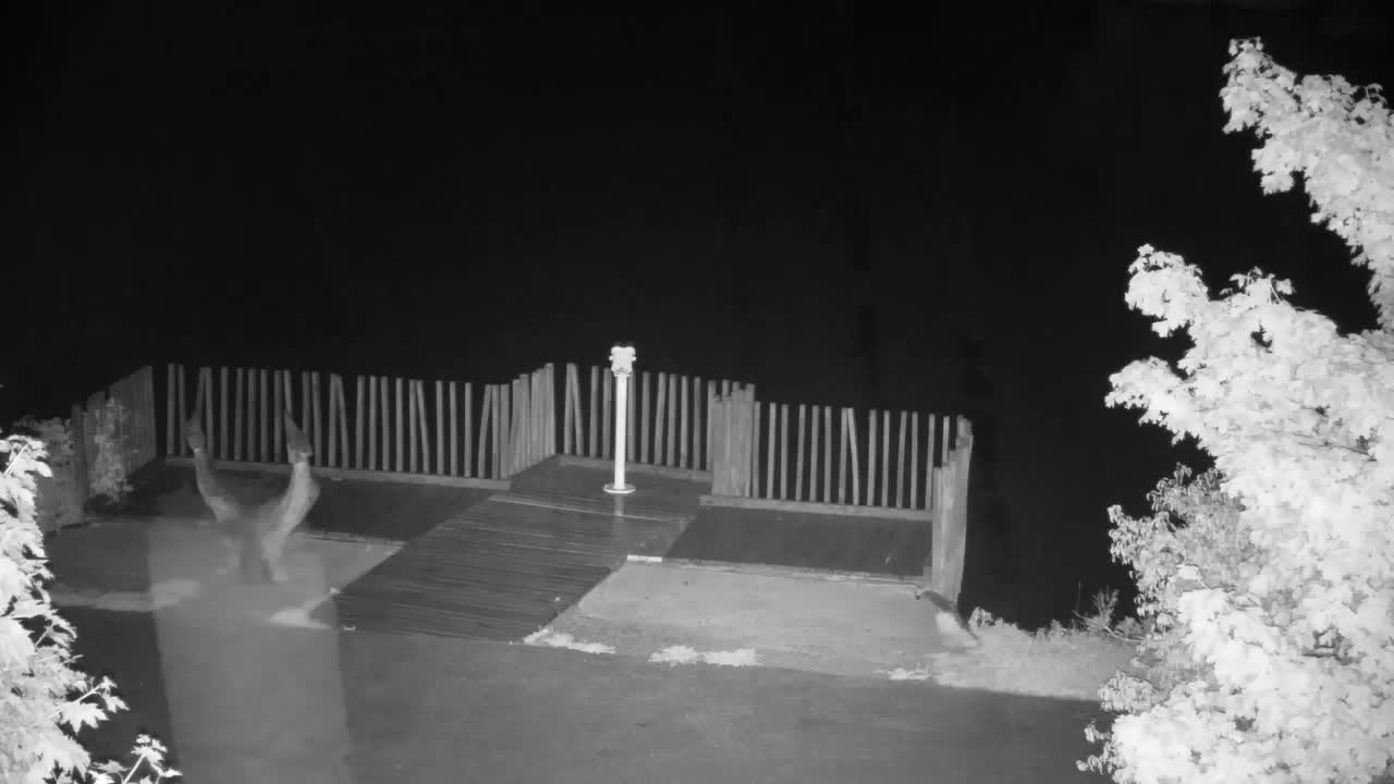 Webcam Ribnik Vrbje – Žalec