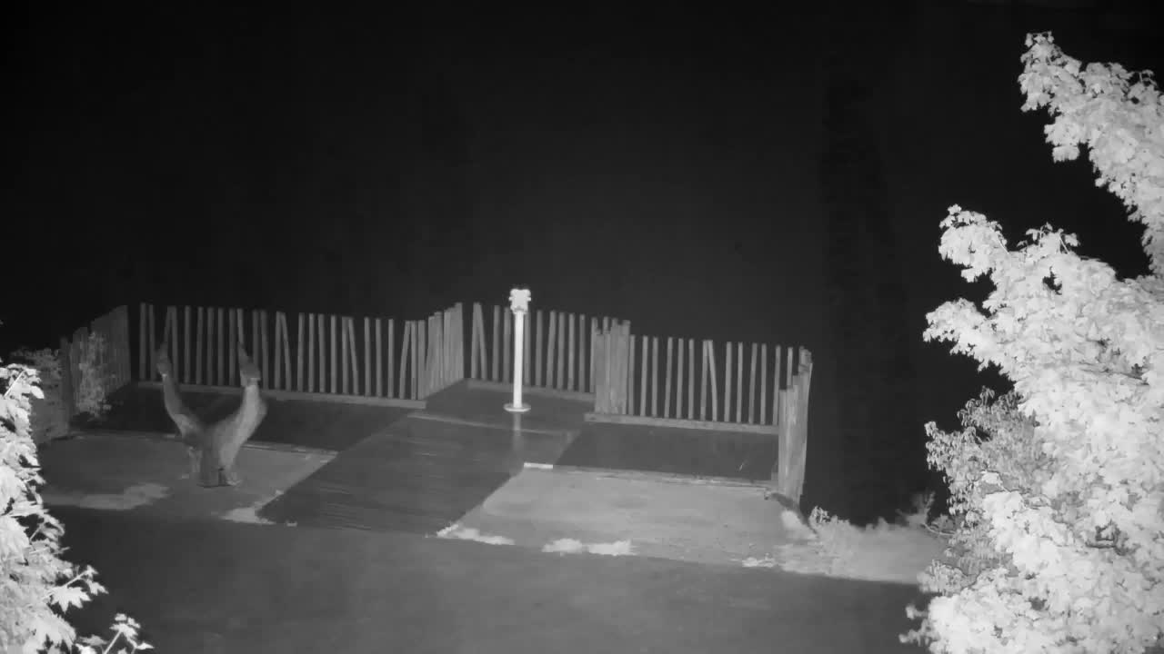 Webcam Ribnik Vrbje – Žalec