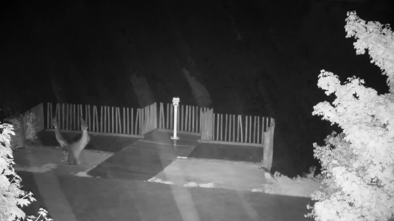 Webcam Ribnik Vrbje – Žalec