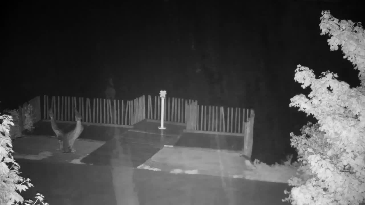 Webcam Ribnik Vrbje – Žalec