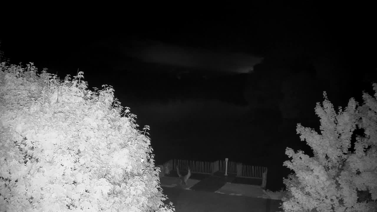 Webcam Ribnik Vrbje – Žalec