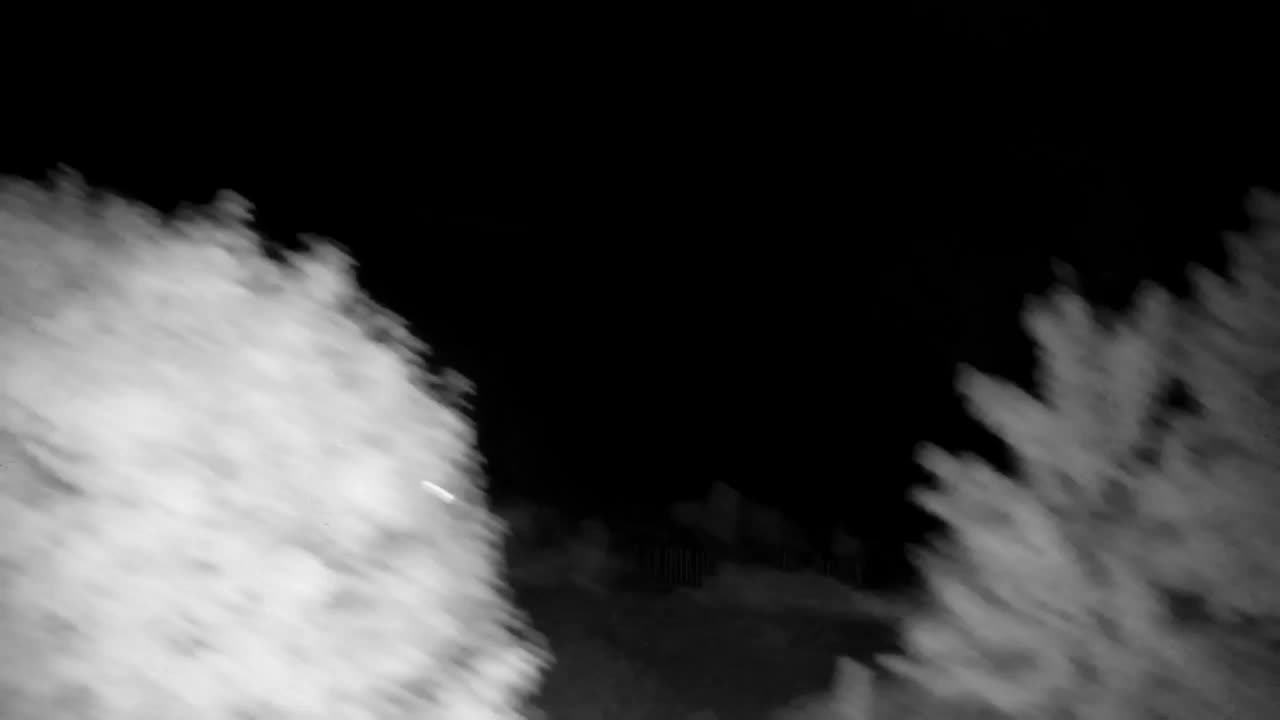Webcam Ribnik Vrbje – Žalec