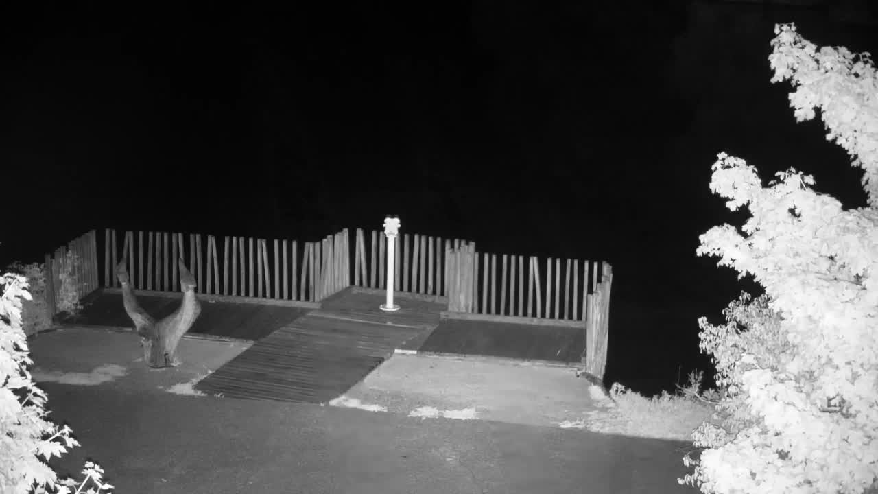 Webcam Ribnik Vrbje – Žalec