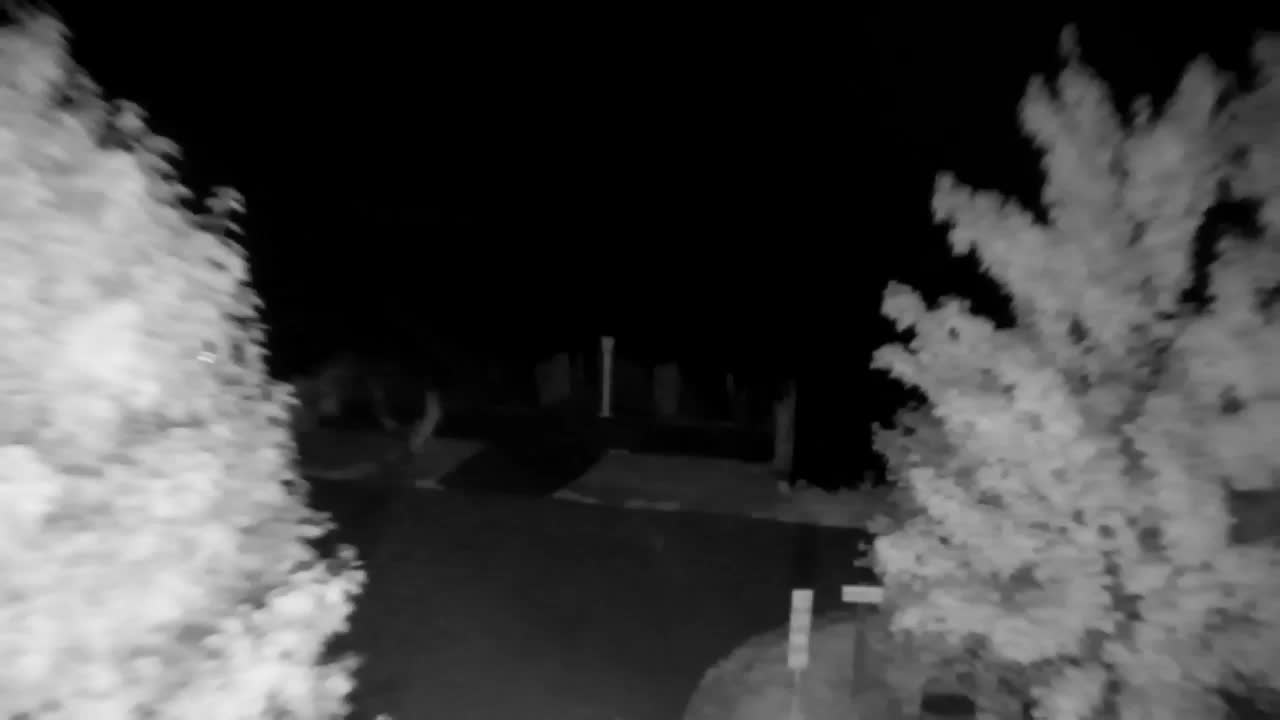 Webcam Ribnik Vrbje – Žalec