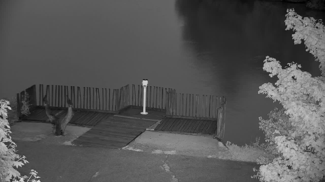 Webcam Ribnik Vrbje – Žalec