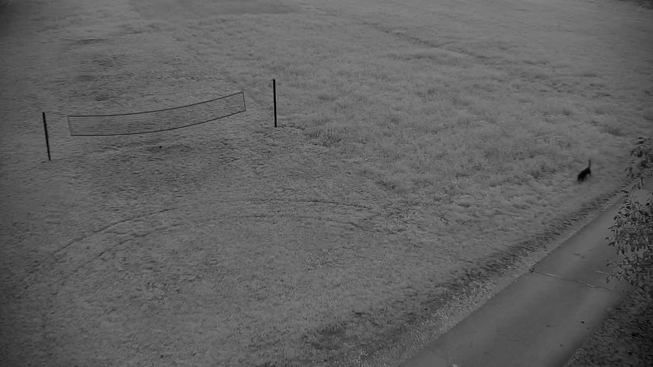 Webcam Ribnik Vrbje – Žalec