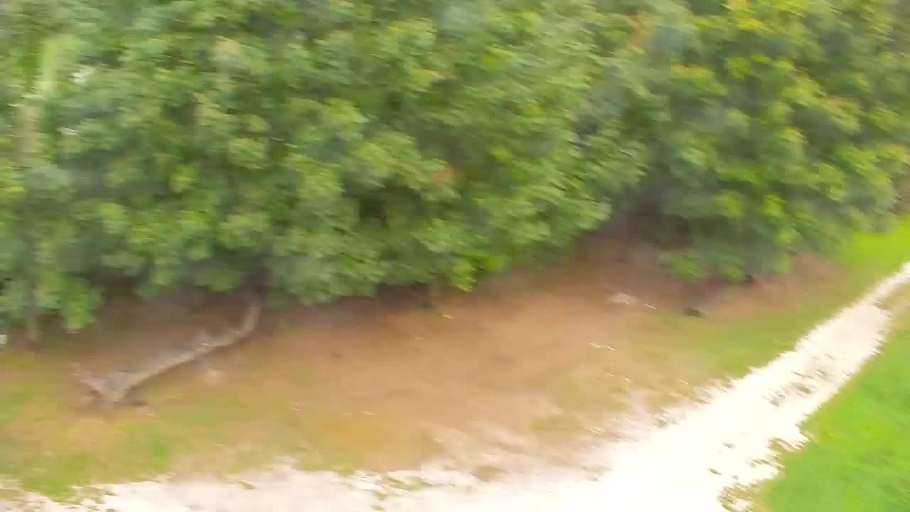 Webcam Ribnik Vrbje – Žalec
