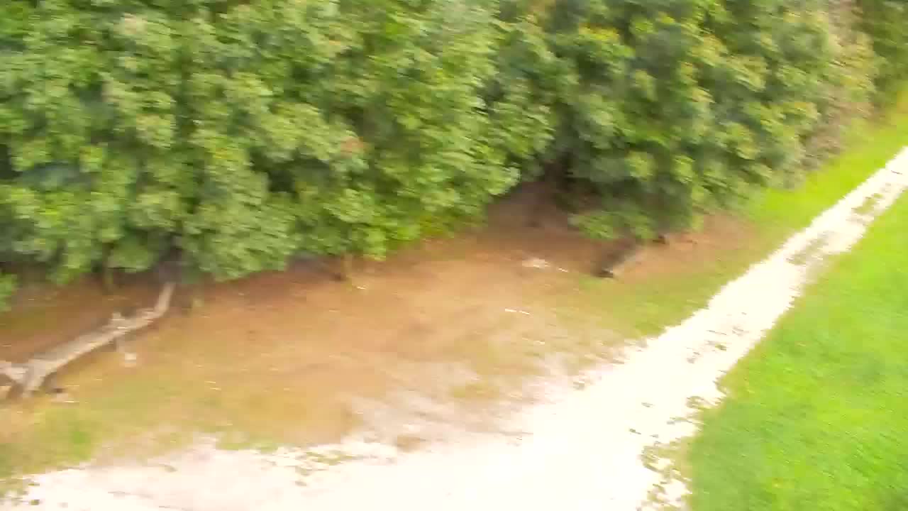 Webcam Ribnik Vrbje – Žalec
