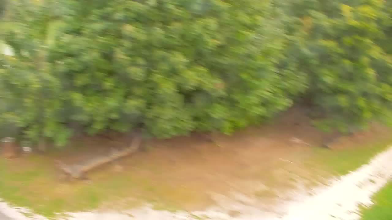 Webcam Ribnik Vrbje – Žalec