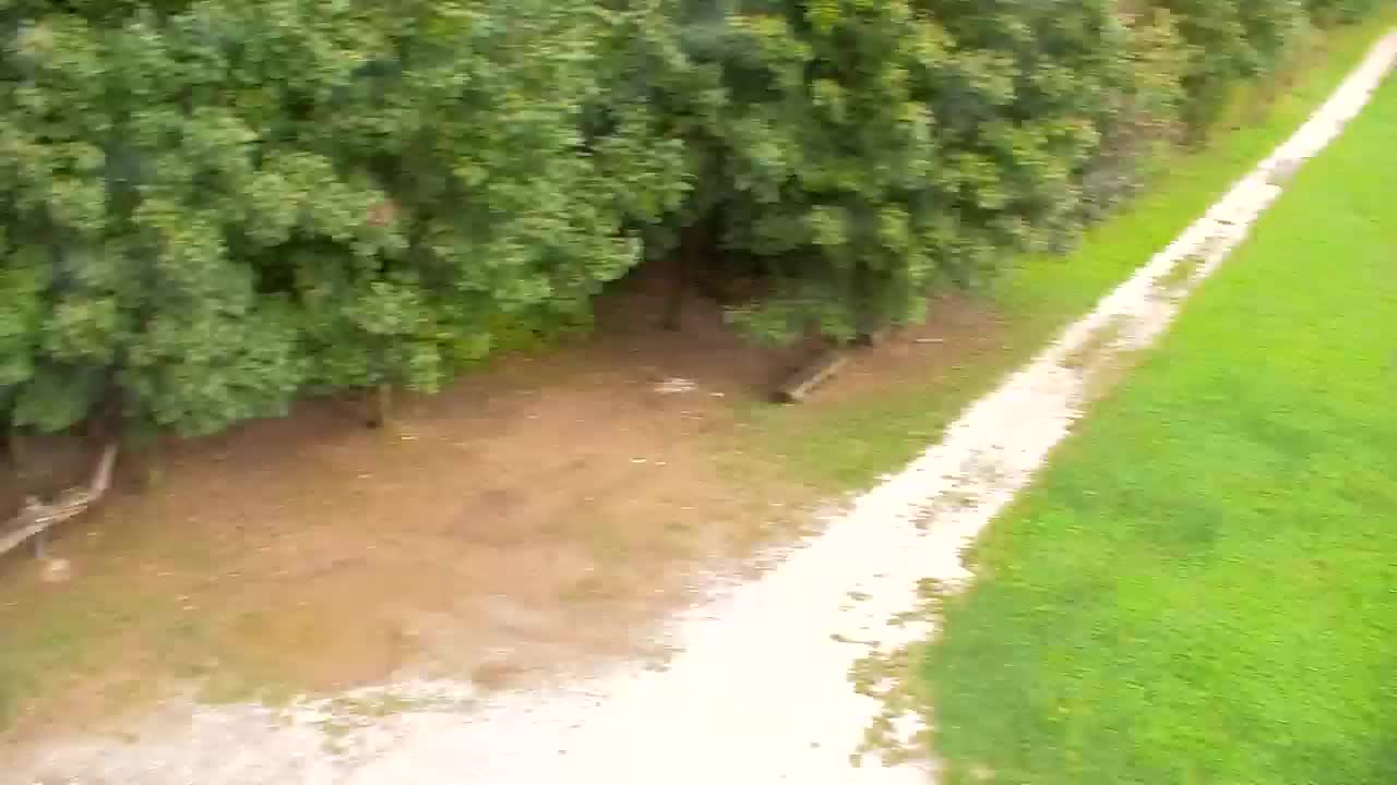 Webcam Ribnik Vrbje – Žalec