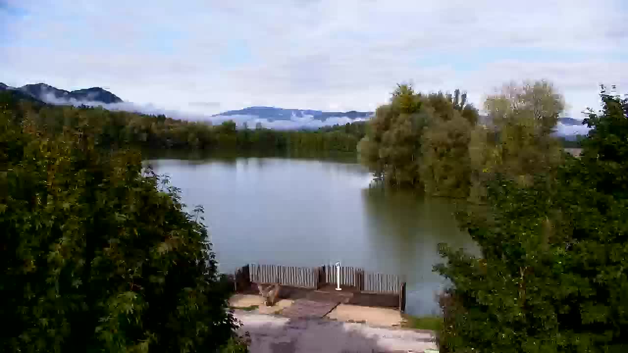 Spletna kamera Ribnik Vrbje – Žalec