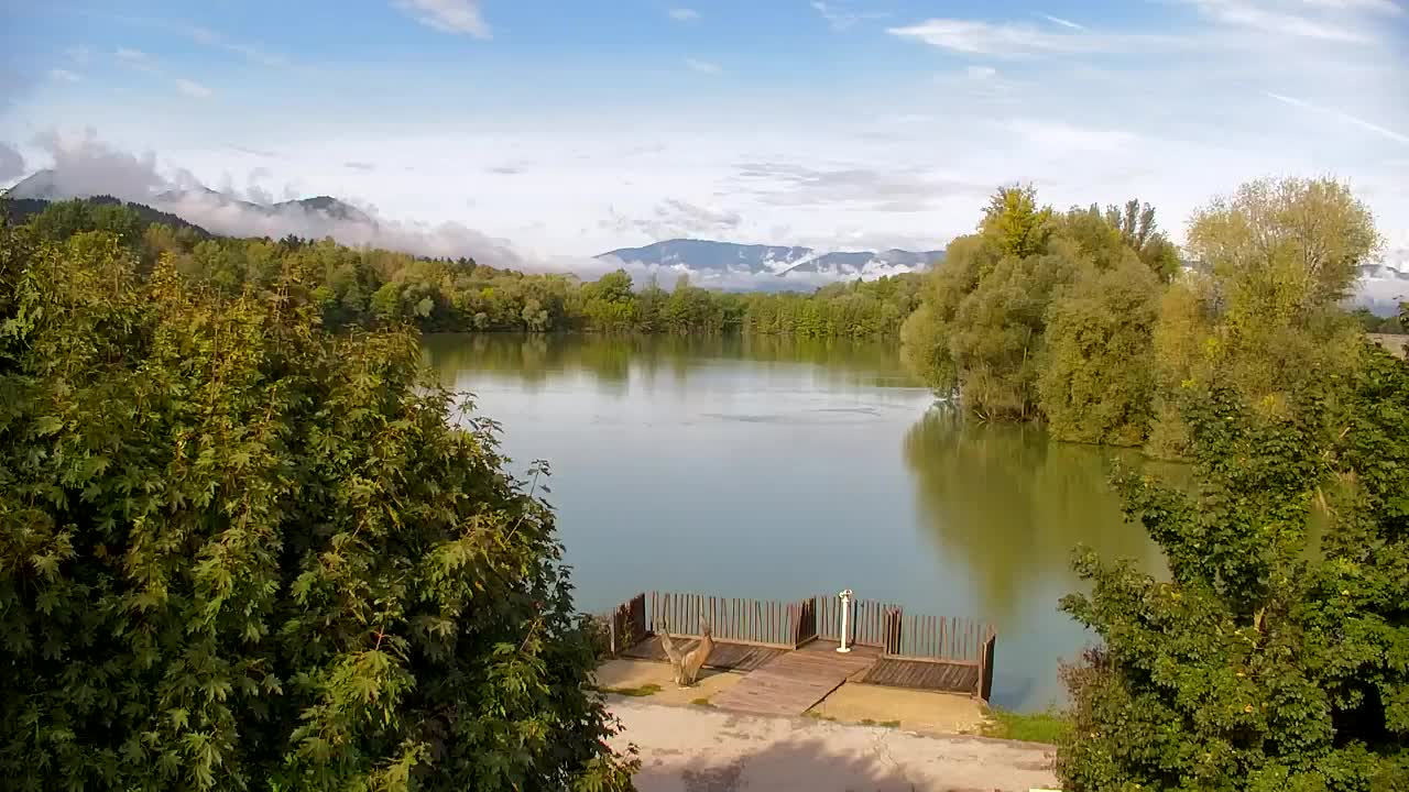 Webcam Ribnik Vrbje – Žalec