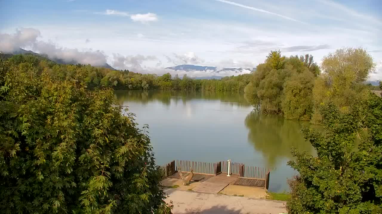 Webcam Ribnik Vrbje – Žalec