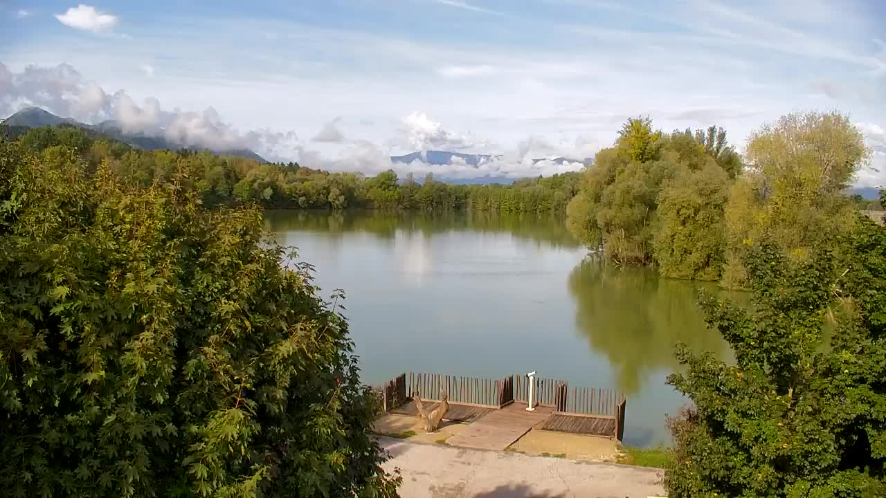 Webcam Ribnik Vrbje – Žalec