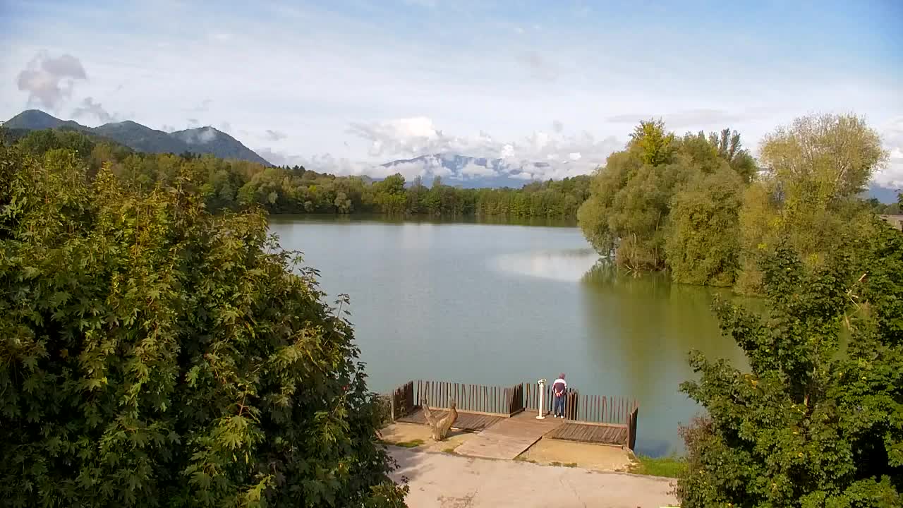 Webcam Ribnik Vrbje – Žalec