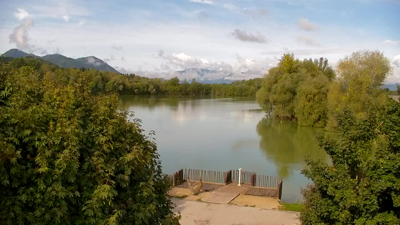 Web kamera Ribnik Vrbje – Žalec