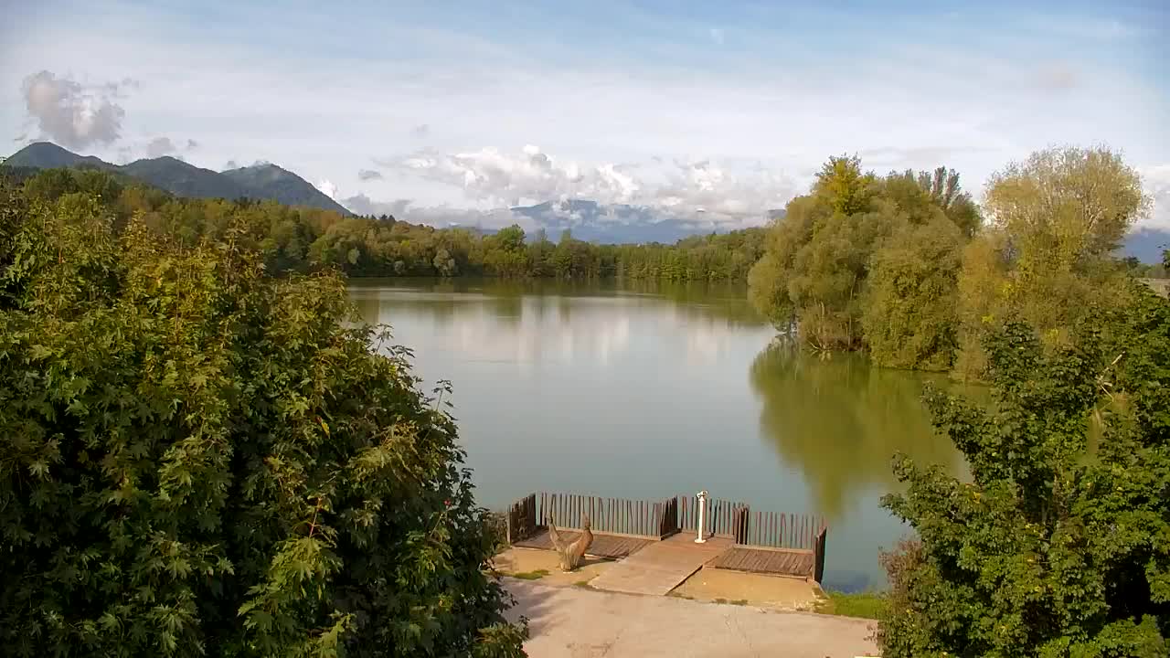 Webcam Ribnik Vrbje – Žalec
