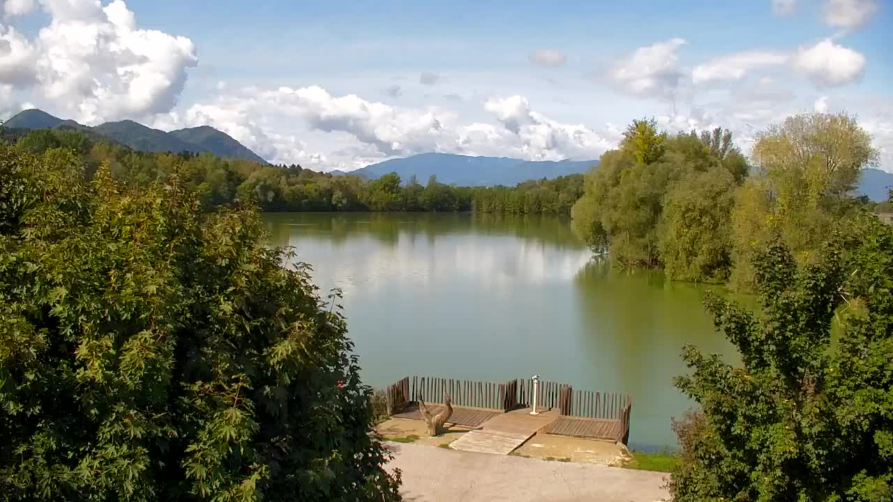 Webcam Ribnik Vrbje – Žalec
