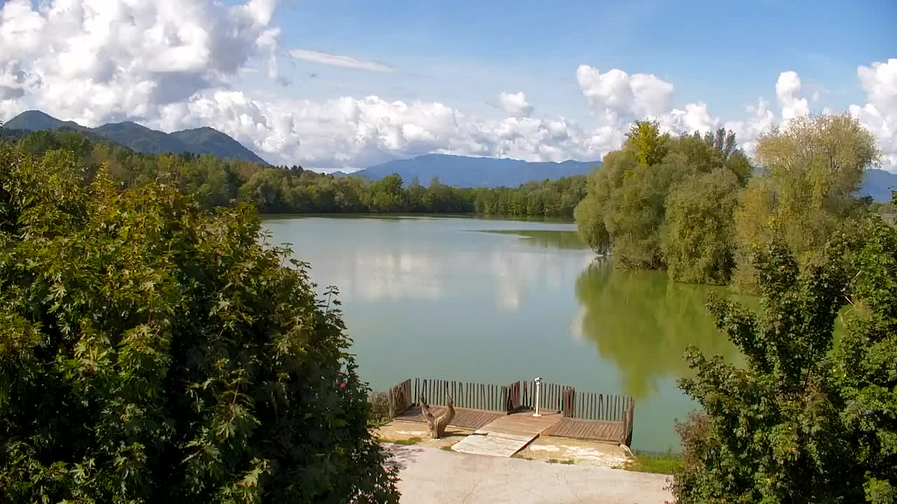 Webcam Ribnik Vrbje – Žalec