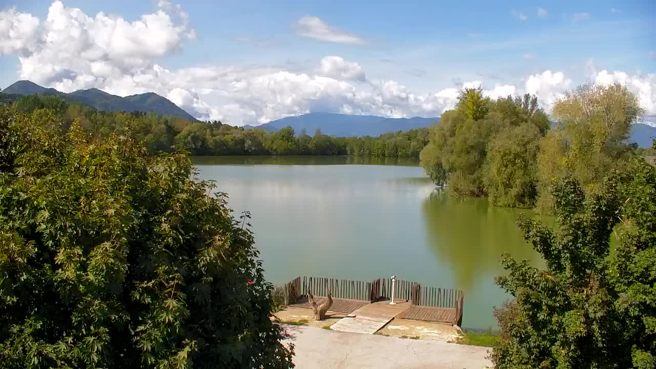Webcam Ribnik Vrbje – Žalec