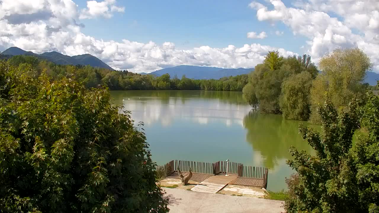Webcam Ribnik Vrbje – Žalec