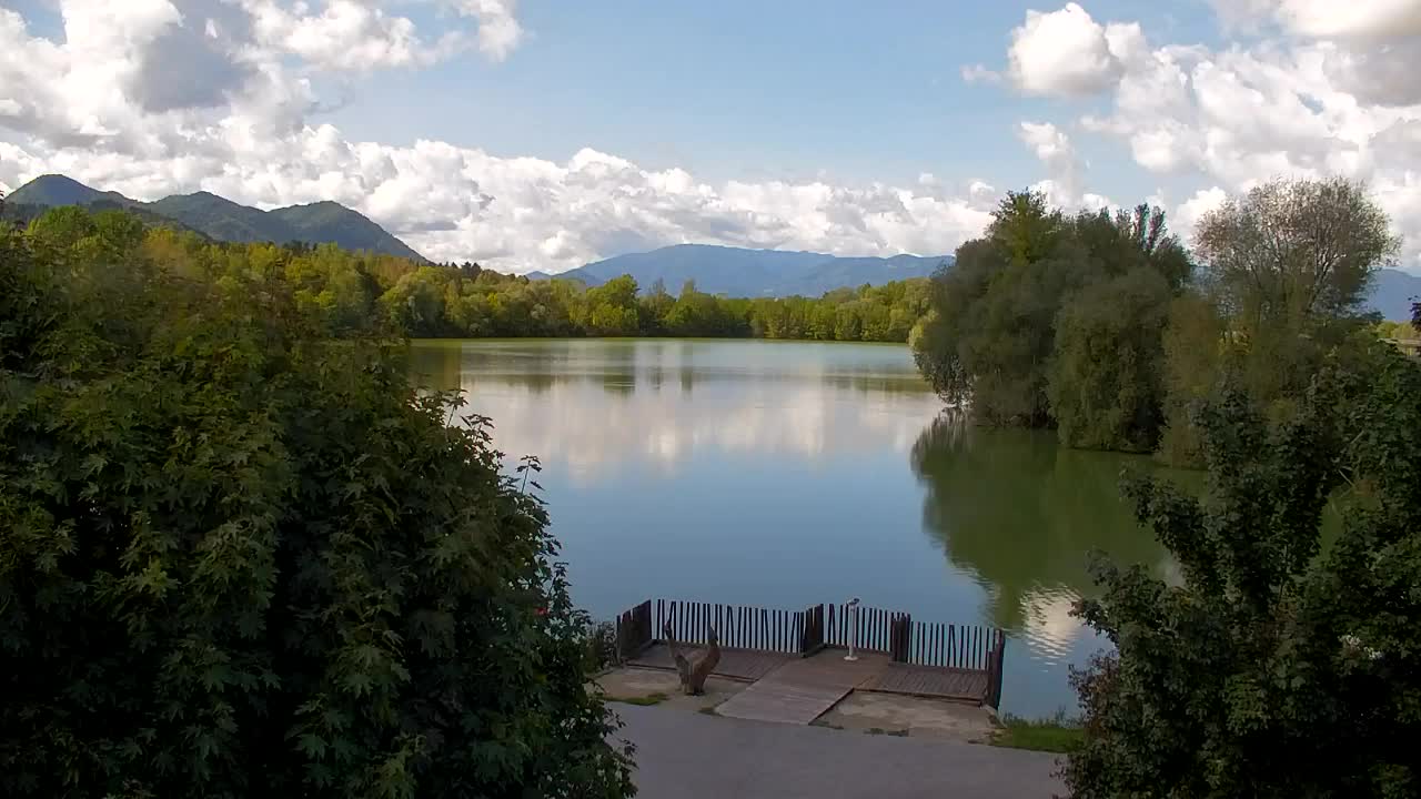 Spletna kamera Ribnik Vrbje – Žalec