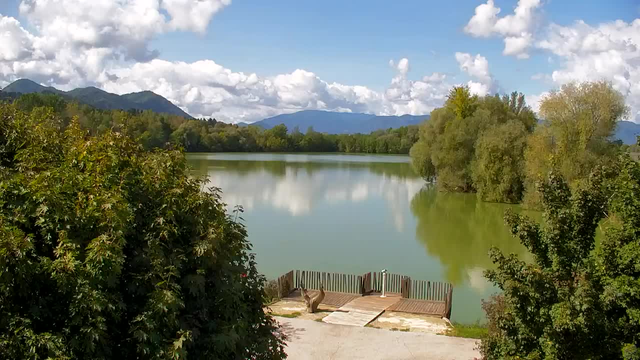 Webcam Ribnik Vrbje – Žalec