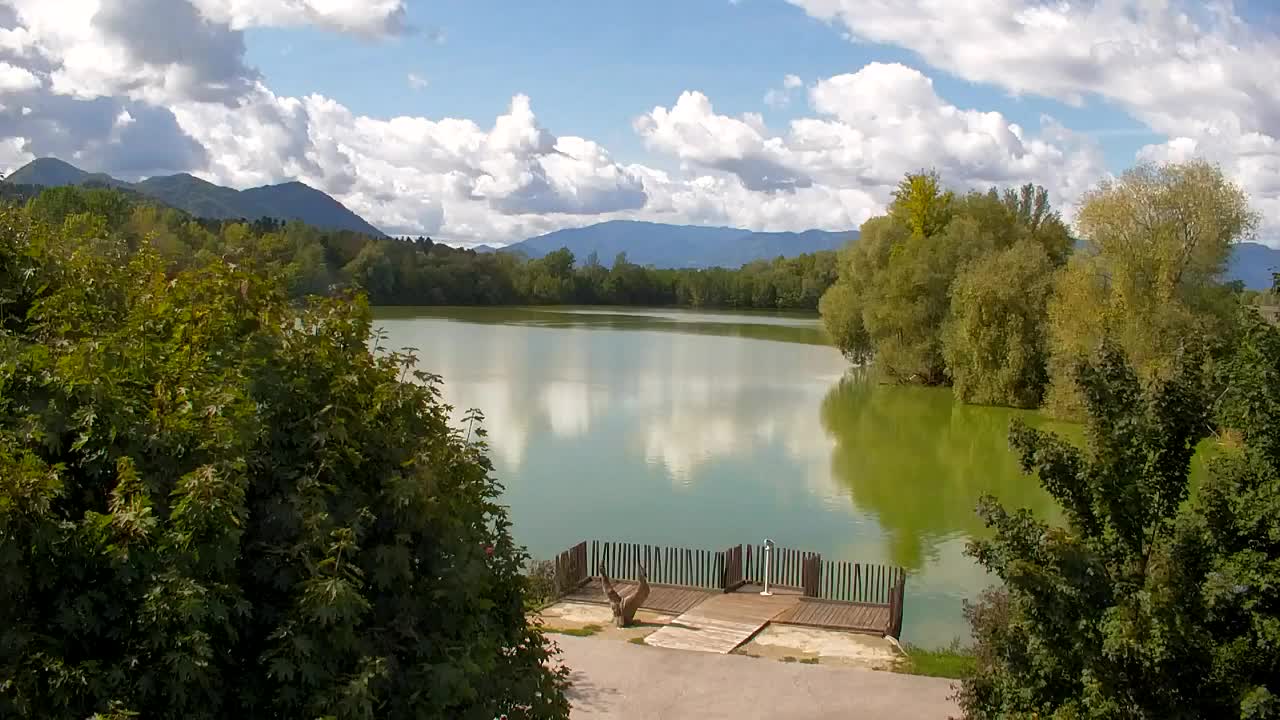 Webcam Ribnik Vrbje – Žalec