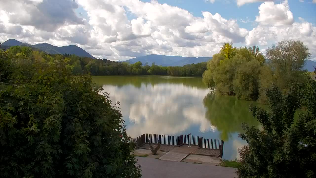 Webcam Ribnik Vrbje – Žalec